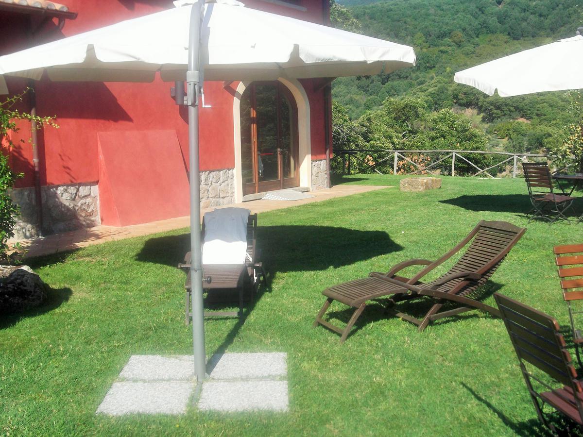 Agriturismo Casal Grande Canepina Ngoại thất bức ảnh