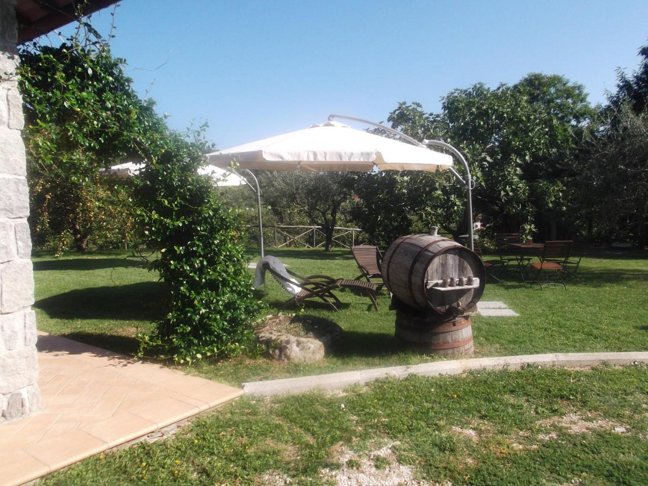 Agriturismo Casal Grande Canepina Ngoại thất bức ảnh