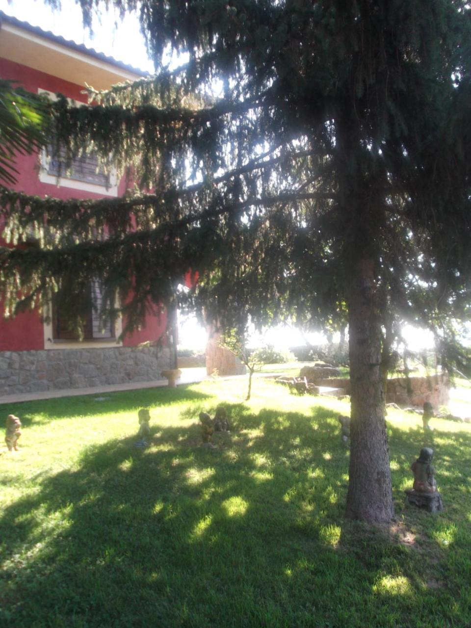 Agriturismo Casal Grande Canepina Ngoại thất bức ảnh
